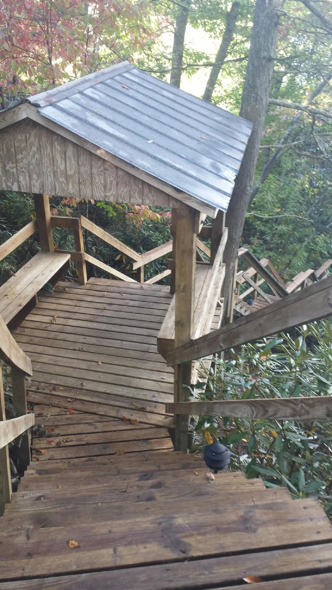 Metal roofed shelter over wooden steps on a wooded walkway — Skylight Repair & Installation work by our crew in Mountlake Terrace