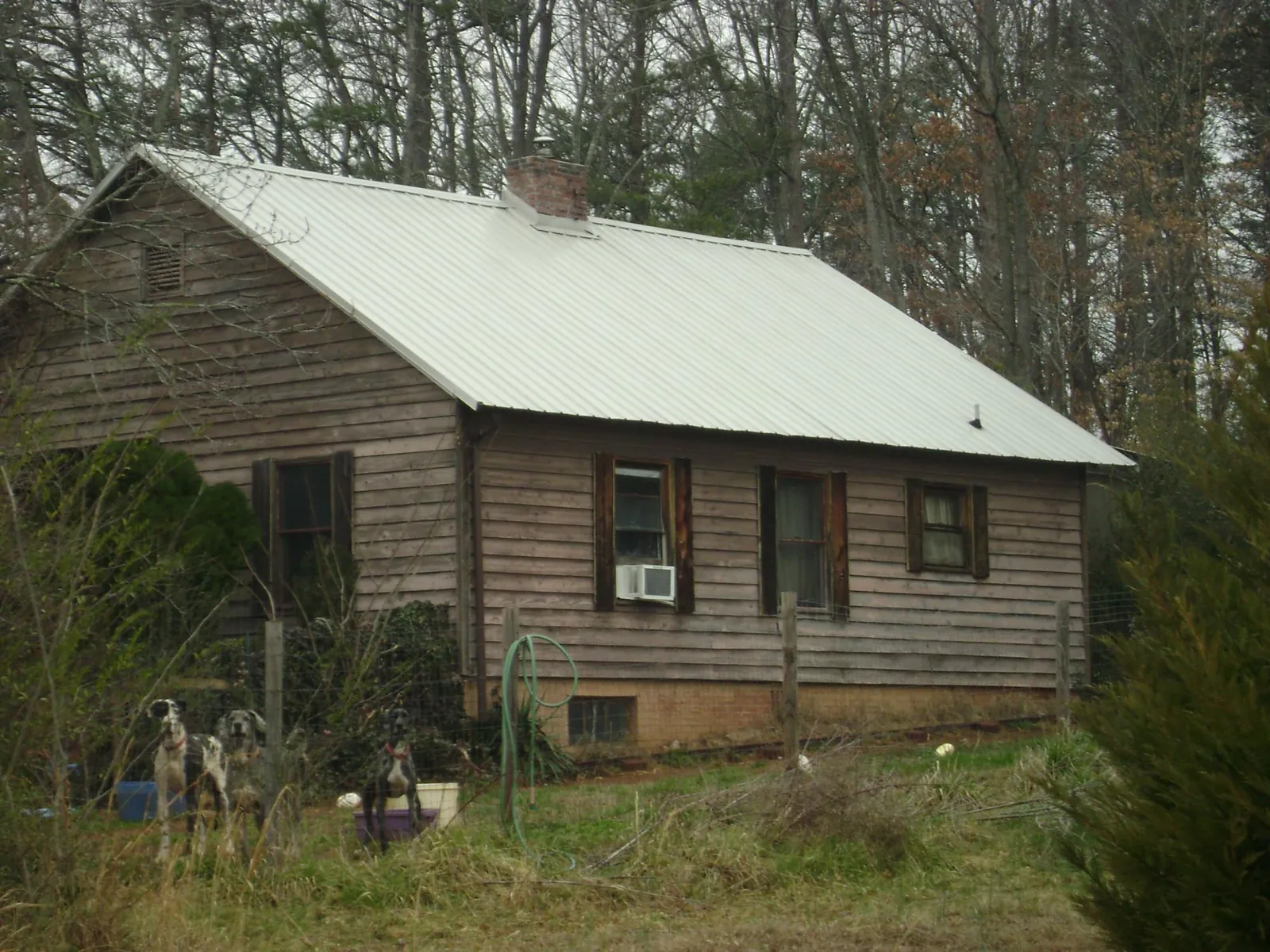 White metal roof on an old wood sided farmhouse, from a Asphalt Shingle Roof Repair job in Mountlake Terrace
